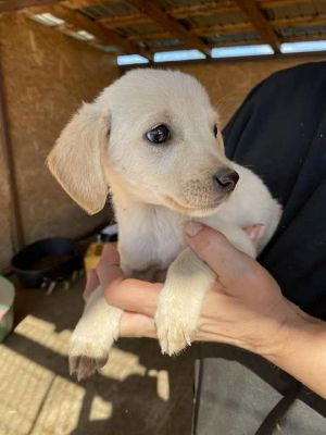 543045438 24537438795896716 3800516905774877901 n