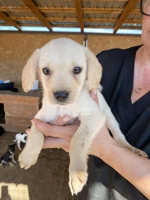 543111521 24537251585915437 466848030699906045 n