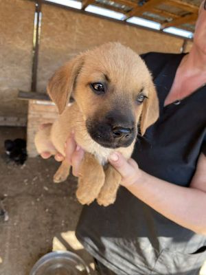 543174371 24537338912573371 8844090658637488092 n