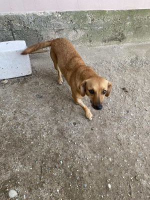 543389485 1298229502001793 6270960419922310584 n