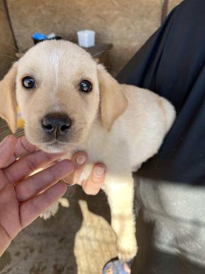 543408687 24537370819236847 6506191286111768502 n