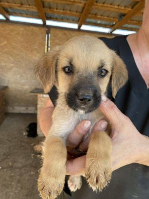 543436608 24537309632576299 4766260653683173560 n