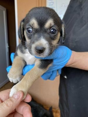 544140500 24493653636955243 7792518288656763826 n