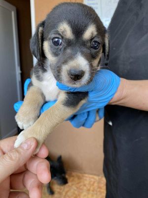 544366480 1122615759824052 5071109022116096224 n