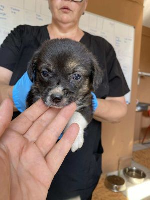 544366480 748711371300450 6754993287133615927 n