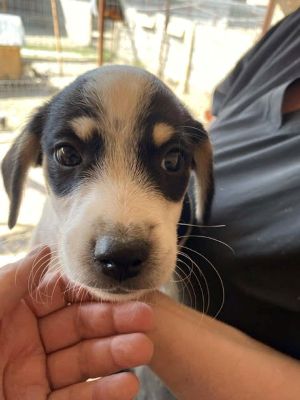 545200538 24611497331824195 1146208909997282169 n