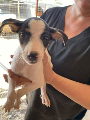 545592689 24611451161828812 8338954767179440187 n