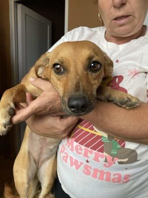 545789044 1175393647763179 7686536215405719318 n