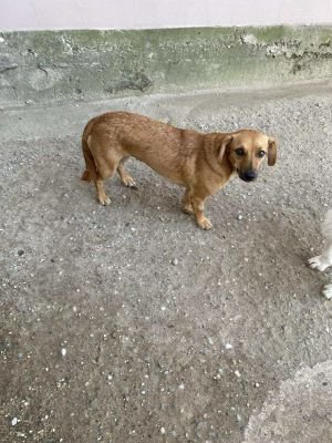 545925470 1286127903314516 5918636258481358182 n