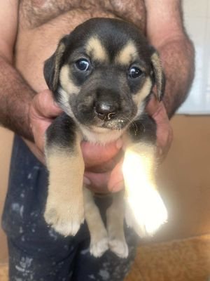 546476798 1931857154327749 2852371881388333563 n