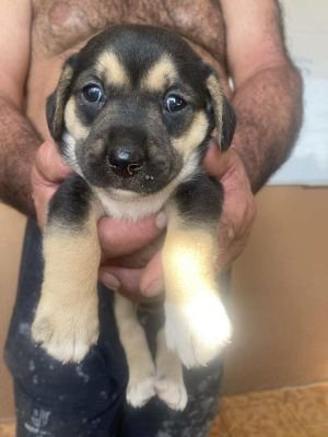 546486214 762046360131429 6675046387508502288 n