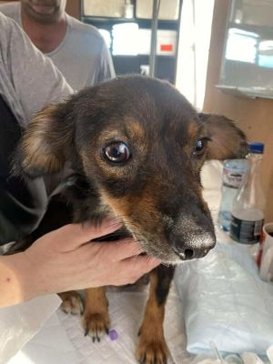 546608086 24613437798296815 6633479344133743998 n