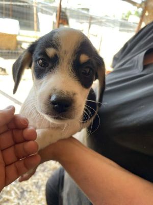 546611692 24611497131824215 2353035153288037861 n