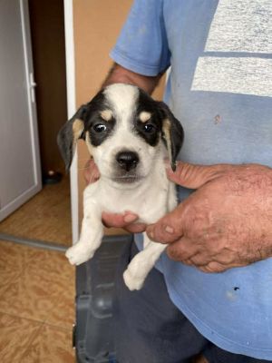 546623738 24611496701824258 5546719893267575602 n