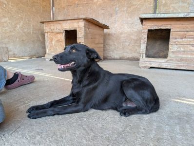 546626760 31223050034008356 6645115037598750246 n