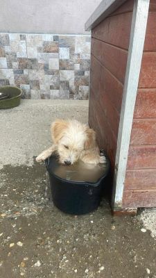 546748033 1796549844294696 1733820157855519899 n