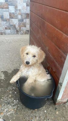 546857429 1140583521540330 8062815884058307413 n