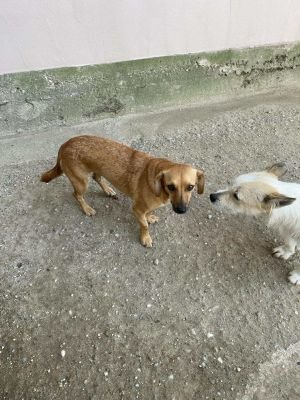 546966830 1371217871088114 2754936410505214122 n