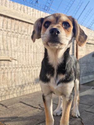 547084080 31192077007105659 6428471643751208758 n