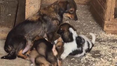 547274026 1091945513142303 6461408188986039138 n