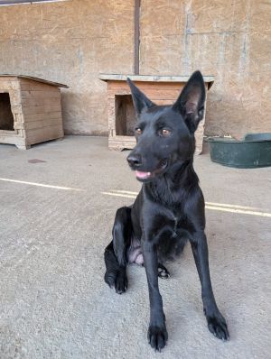 547574639 31223050420674984 8206386442948743425 n