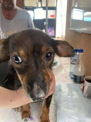 547640452 24613437791630149 6363227806136843324 n