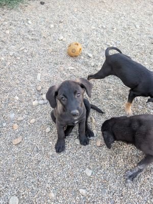 547651716 3166702760162080 2979439622206820622 n