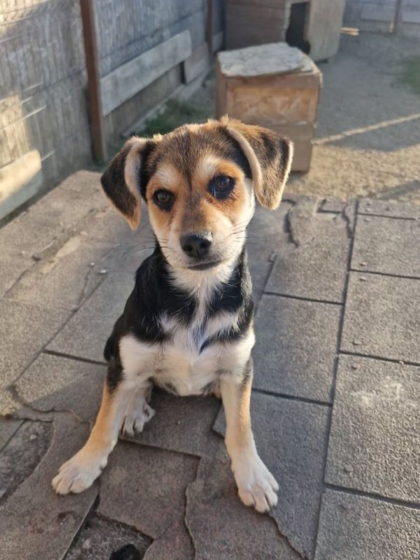 547935532 31192076703772356 7789614939655244587 n