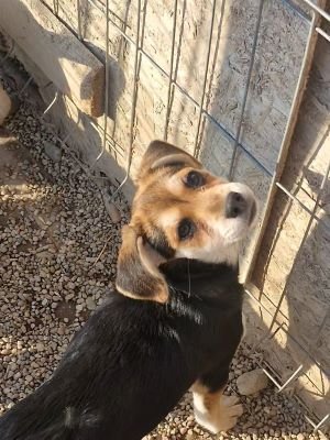 547980761 31192076263772400 4943677108030145010 n