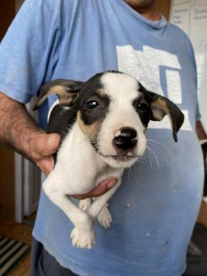 548030795 24611450708495524 2475156911200904630 n