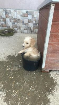 548079842 808799221667564 4964350916931381438 n