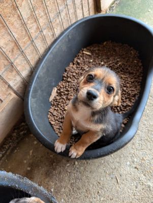 548193806 24670008399306421 3205942266345207411 n