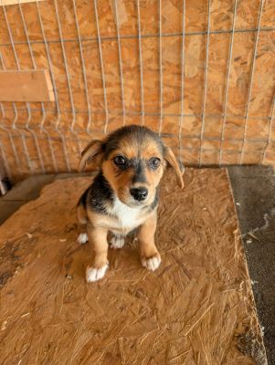 548194962 24670007712639823 8474563896240080737 n