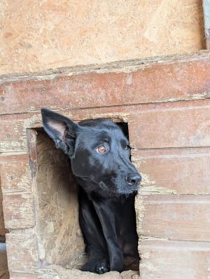 548213918 31223049670675059 7440844760255414291 n