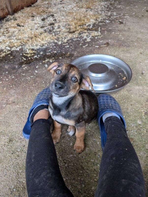 548305016 24670031115970816 4614422919157014597 n