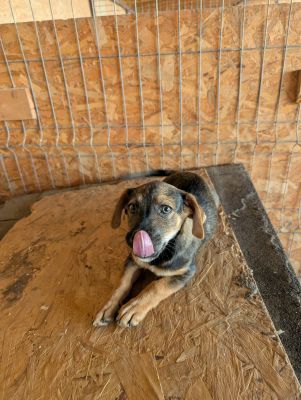 548311535 24670030549304206 1255346137173245517 n