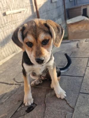 548473095 31192077027105657 6162654325020554850 n