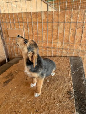 548525899 24670008372639757 8009230149198375602 n