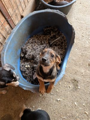 548707640 24670030582637536 5074534677403070128 n