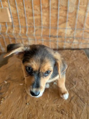 548888612 24670007379306523 5136021741085361665 n