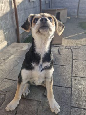 548943950 31192076767105683 2145888978645686765 n