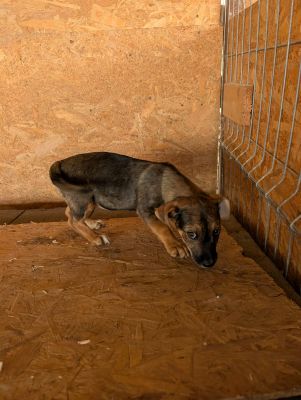 549195816 24670030855970842 704079583311858084 n