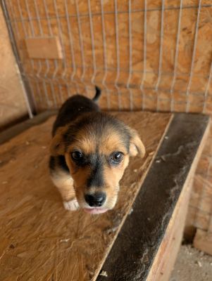 549724451 24670008042639790 4895059193656039213 n