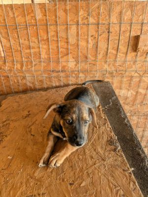 550191614 24670030552637539 1522717545877127642 n