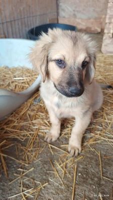 550467890 1346453107118732 3081425542749793085 n