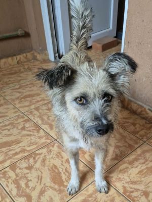 550853692 2636751603342402 7740893000999966046 n