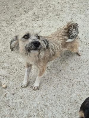 550991691 1949594195834746 2815454745147405010 n