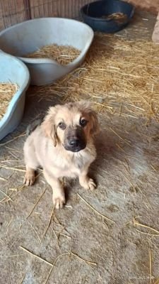 551010636 812014918391600 4485063209787456077 n