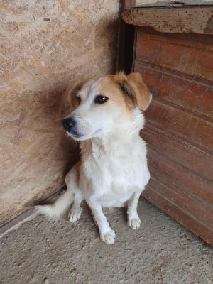 551143821 1331110762007744 6696857927423025635 n