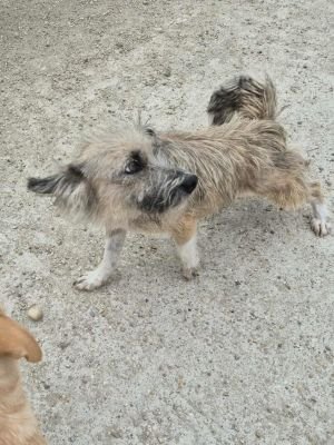 551313405 1496813281566410 4559338643012824894 n